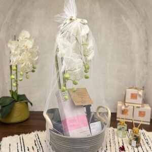 Gift and Hampers
