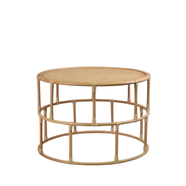 ASEAN Coffee Table