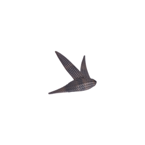 SWALLOW Wall Deco Large
