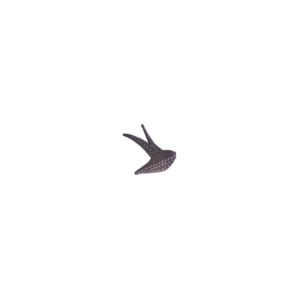 SWALLOW Wall Deco Small