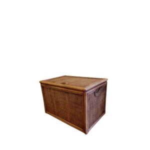 Recta Trunk Brown