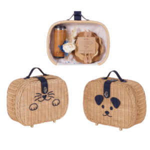 Kitten/Puppy Suitcase Gift